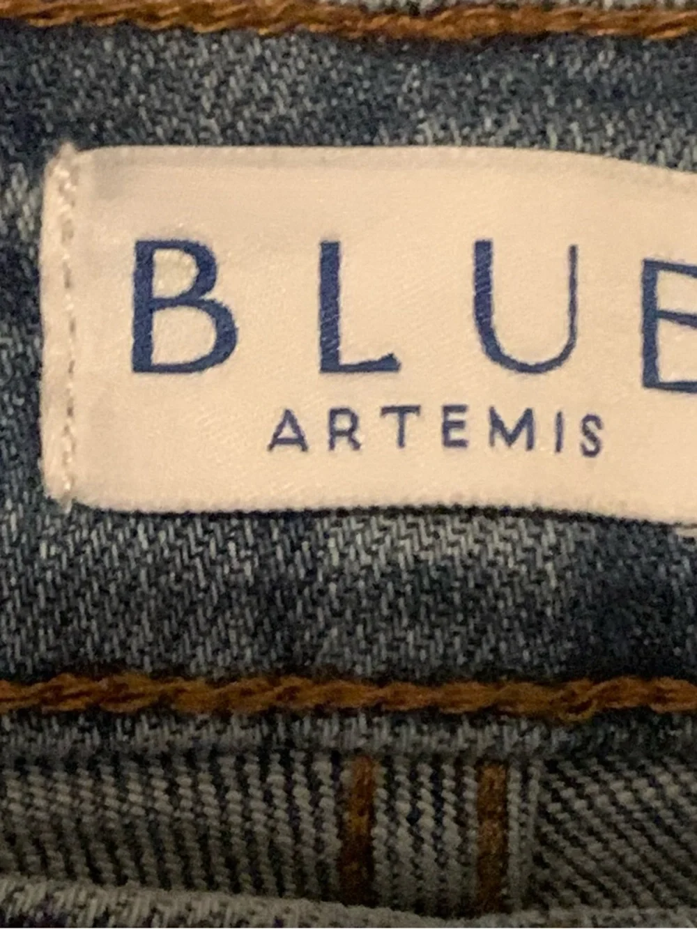 BLUE ARTEMIS High Rise Straight leg jeans 12P